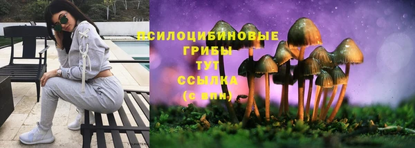 каннабис Белокуриха