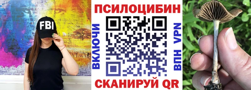 Галлюциногенные грибы Psilocybine cubensis  сайты даркнета формула  Волчанск 
